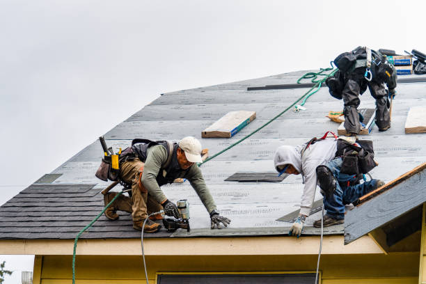 Professional Gutter Installation technician working in Newton, UT